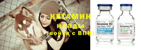 скорость Новозыбков