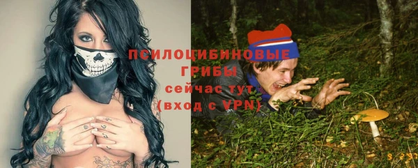 spice Нягань