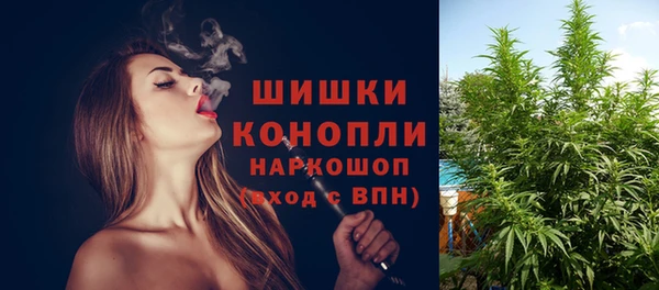 spice Нягань