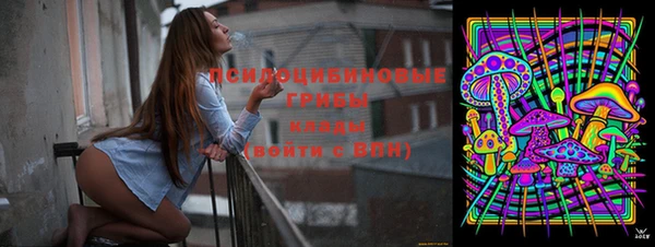 скорость Новозыбков