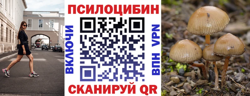 Псилоцибиновые грибы Cubensis  Купить закладки  Короча 