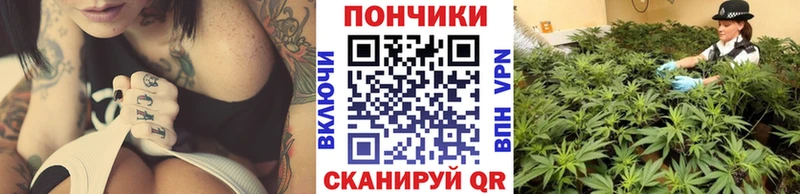 Шишки марихуана сатива  Купить  Короча 